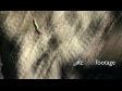 Bungy Jump 3 947